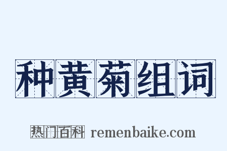 种黄菊组词是什么意思的图片